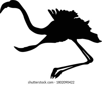 Flamingo (Phoenicopterus) Silhouette Found In Map Of South America, Africa,Europe and Western Asia