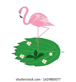 Flamingo pink - abstract leaf icon - isolated on white background - vector. Wildlife World. Journey.