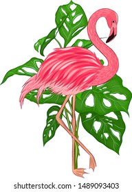 Flamingo pink bird with palm tree