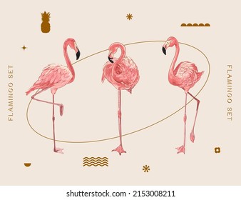 Flamingo Pink bird summer collection