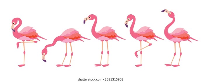 Flamingo pink clipart set. Flamingo summer cute bird clip art with beak and pink feather in standing pose elements collection vector illustration.   
