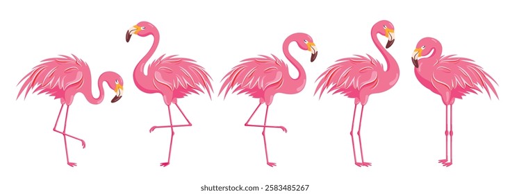 Flamingo pink drawing clipart set. Summer bird cute standing flamingo clip art collection tropical icon elements vector illustration. 