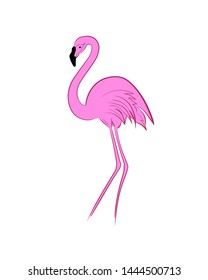 Flamingo. pink flamingo  on a white background. Vector illustration isolated
