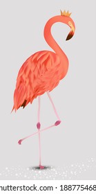 Flamingo pink on white background. Exotic Bird Flamingo. Realistic vector illustration.