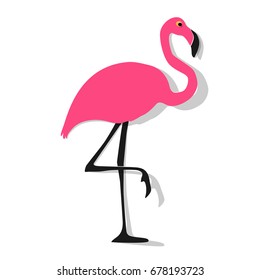 Flamingo pink on a white background.