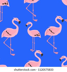 flamingo pink pattern seamless vector 