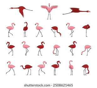 Flamingo Pink Red Walking Flying Various Poses Cartoon Cute Vector Illustration