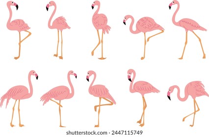 flamingo pink set in flat style on white background vector