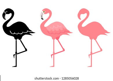 Flamingo, pink flamingo silhouette. Cartoon illustration of a flamingo. Vector illustration.