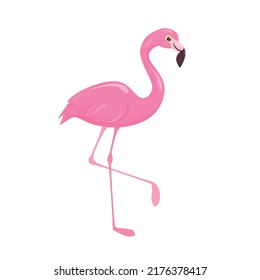 Flamingo. Pájaro tropical rosa aislado en blanco. Ilustración vectorial en un estilo sencillo y plano.