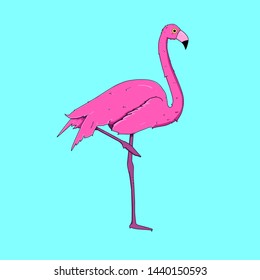 Flamingo Pink Vector Hawai Bird Flora Fauna