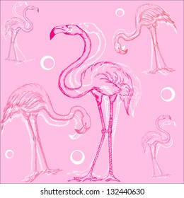 flamingo pink wallpaper