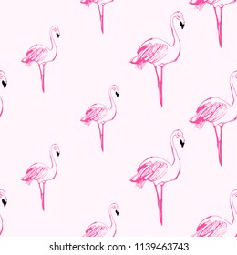 Flamingo pink white pattern. Vector seamless background with tropical flamingo birds on white backdrop. Pink hand drawn graphic illustration.