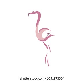 Flamingo pink, wildlife