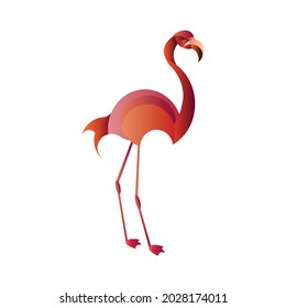 Flamingo with pink-red color. Vector illustration isolated on a white background. Logo. Pink exotic bird