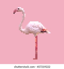 flamingo pixel art vector. isolated pink bird