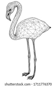 Flamingo polygonal lines illustration. Abstract vector flamingo on the white background