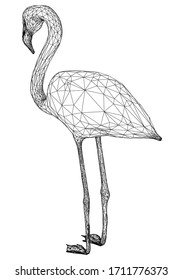 Flamingo polygonal lines illustration. Abstract vector flamingo on the white background