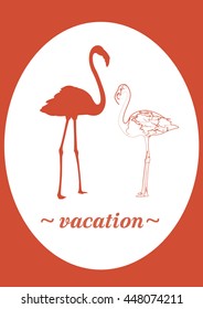 flamingo postcard