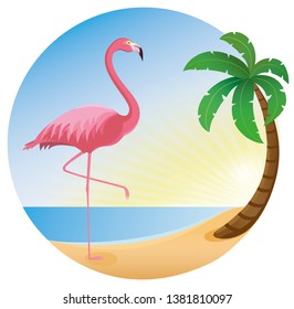 flamingo, rosa, beach, sun, sea, circle, palm tree