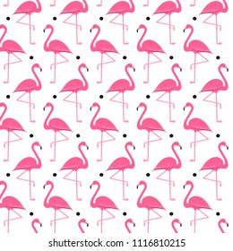 Flamingo seamless pattern on polka dots background, exotic tropical bird vector, summer beautiful fashion print isolated on white