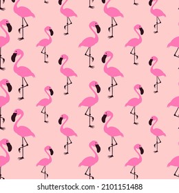 Flamingo seamless vector pattern background