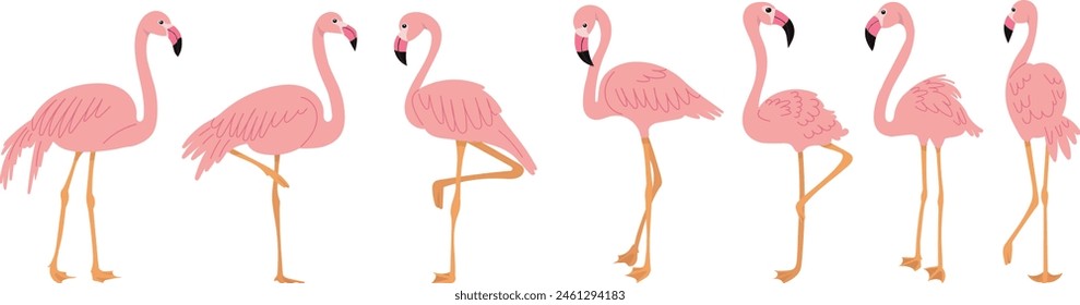 flamingo set in flat style on white background vector