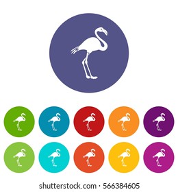 Flamingo set icons in different colors isolated on white background