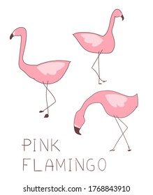 Flamingo set illustration, Summer Print Design, children print on t-shirt