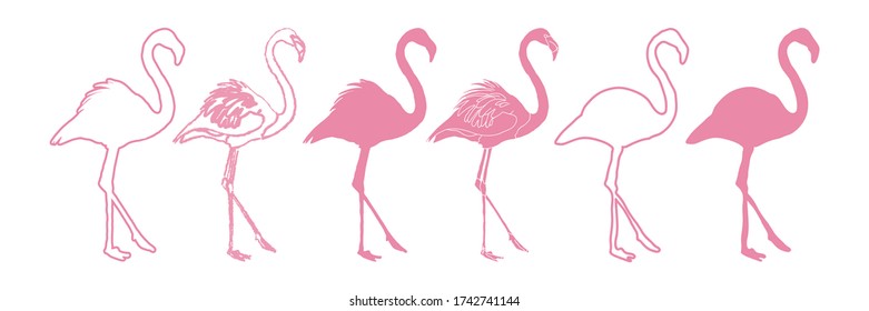 Flamingo Set Isolated Silhouette Illustration