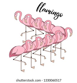 Flamingo set with lettering vector illustration in pink colors. Template for summer sale banner, party invitation card, poster, feminine print with exotic bird and palm tree leaf. EPS10
