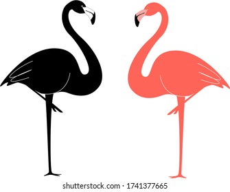 Flamingo set line art and color. Vector illustration.