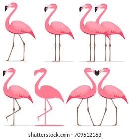 Flamingo, a set of pink flamingos. Flat design, vector illustration, vector.