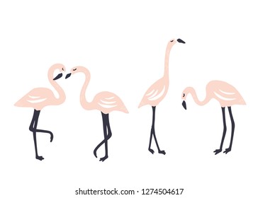 Flamingo set. Scandinavian style. Vector illustration