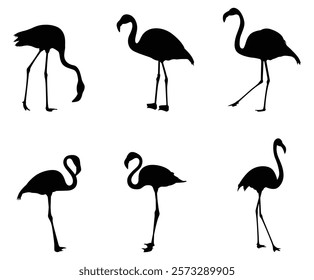 Flamingo set Silhouette Isolated on White vector.