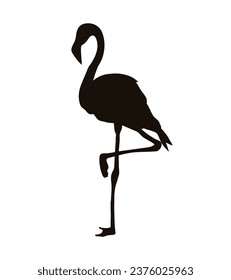 flamingo silhouette. Black silhouette flamingo. flamingo isolated on white background. hand drawn flamingo design. vector illustration.