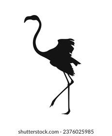 flamingo silhouette. Black silhouette flamingo. flamingo isolated on white background. hand drawn flamingo design. vector illustration.
