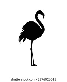 flamingo silhouette. Black silhouette flamingo. flamingo isolated on white background. hand drawn flamingo design. vector illustration.