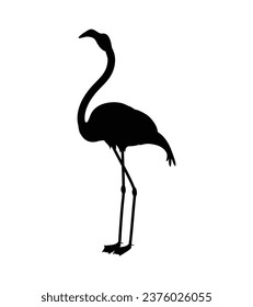flamingo silhouette. Black silhouette flamingo. flamingo isolated on white background. hand drawn flamingo design. vector illustration.