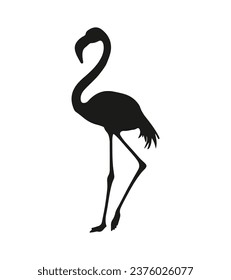 flamingo silhouette. Black silhouette flamingo. flamingo isolated on white background. hand drawn flamingo design. vector illustration.