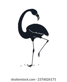 flamingo silhouette. Black silhouette flamingo. flamingo isolated on white background. hand drawn flamingo design. vector illustration.