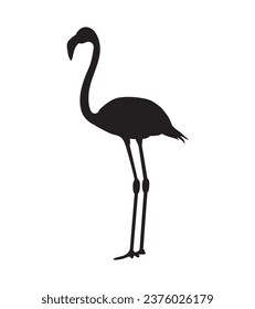 flamingo silhouette. Black silhouette flamingo. flamingo isolated on white background. hand drawn flamingo design. vector illustration.