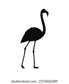 flamingo silhouette. Black silhouette flamingo. flamingo isolated on white background. hand drawn flamingo design. vector illustration.