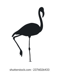 flamingo silhouette. Black silhouette flamingo. flamingo isolated on white background. hand drawn flamingo design. vector illustration.