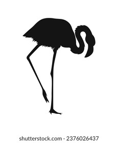 flamingo silhouette. Black silhouette flamingo. flamingo isolated on white background. hand drawn flamingo design. vector illustration.