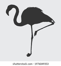 flamingo silhouette, a black silhouette on white background. Vector