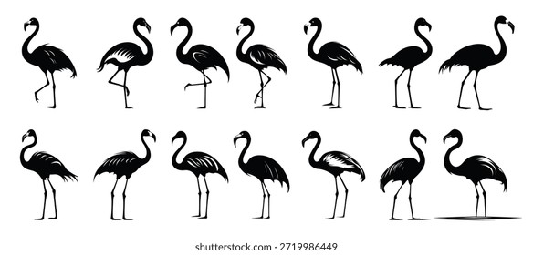 flamingo Silhouette Clipart Bundle Vektorgrafik