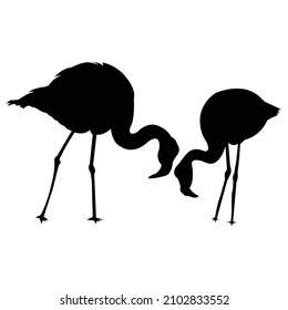 Flamingo silhouette design. animal shape silhouette vector on white background 