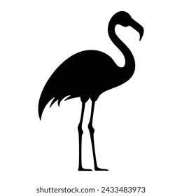 
Flamingo silhouette, flamingo icon design on white background, vector illustration