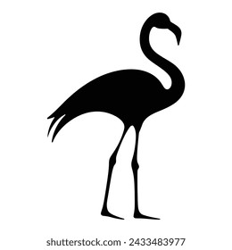 
Flamingo silhouette, flamingo icon design on white background, vector illustration